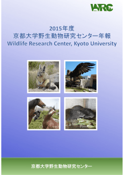 2015年度年報（PDFファイル）
