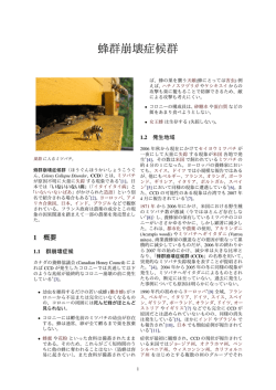 蜂群崩壊症候群