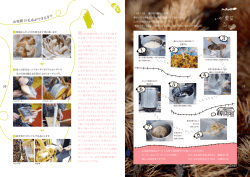 山染紡の毛糸ができるまで 1 2 10 11