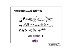 月間新聞折込広告出稿一覧 11