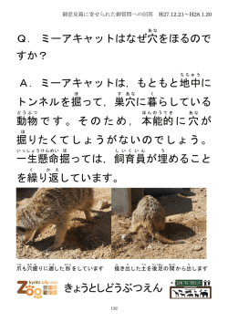 Q132 ミーアキャットはなぜ穴をほるのですか？