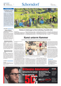 Schorndorfer Nachrichten, 20.10.2012