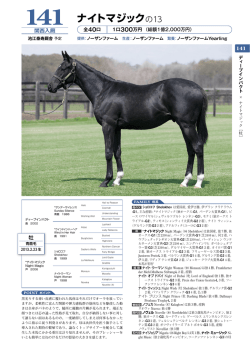 141 ナイトマジックの13