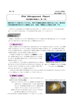 Risk Management Report
