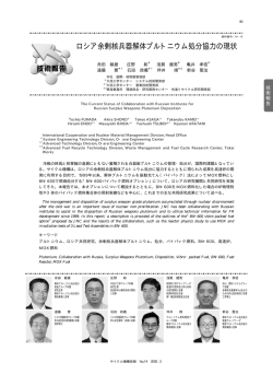 1200kb - 国立研究開発法人日本原子力研究開発機構