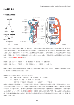 6 心臓の働き