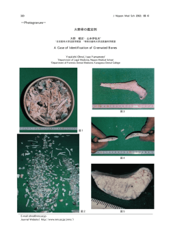 本文PDF - J
