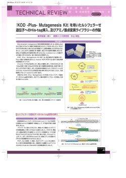 を用いたルシフェラーゼ 遺伝子へのHis