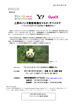 上野のパンダ最新映像をマルチ・デバイスで