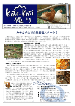 第31号 - 平群里山クラブ