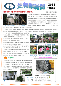 2011 10月号