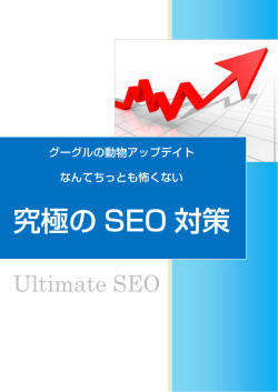 究極の SEO 対策
