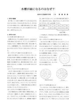 水槽が緑になるのはなぜ？