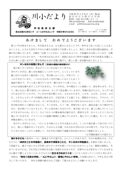 川小だより