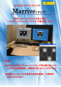 Marrive カタログ