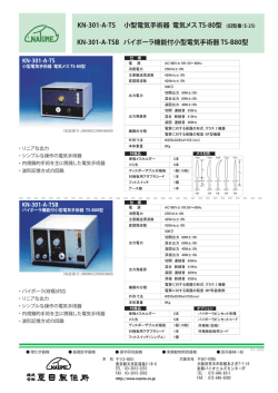 KN-301-A-TS 小型電気手術器 電気メス TS-80型 (旧型番：E