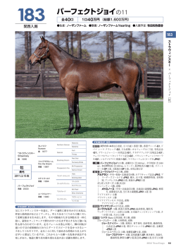 パーフェクトジョイの11