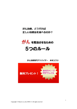 1 Copyright &copy; Massive co.,ltd, 2008