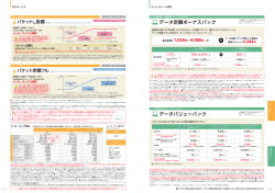 データ定額ボーナスパック データバリューパック