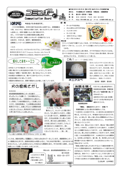 33号 - 加藤新聞店
