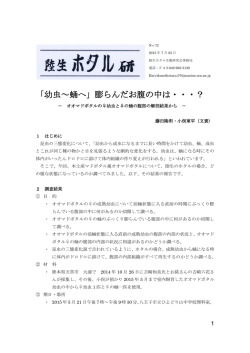 「幼虫～蛹へ」膨らんだお腹の中は
