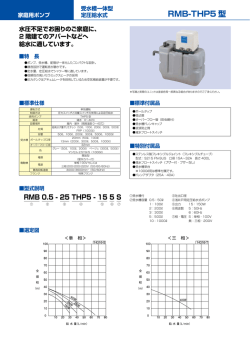 RMB-THP5 型