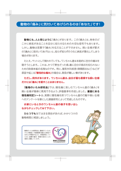 動物の「痛み」に気付いてあげられるのは「あなた」です！