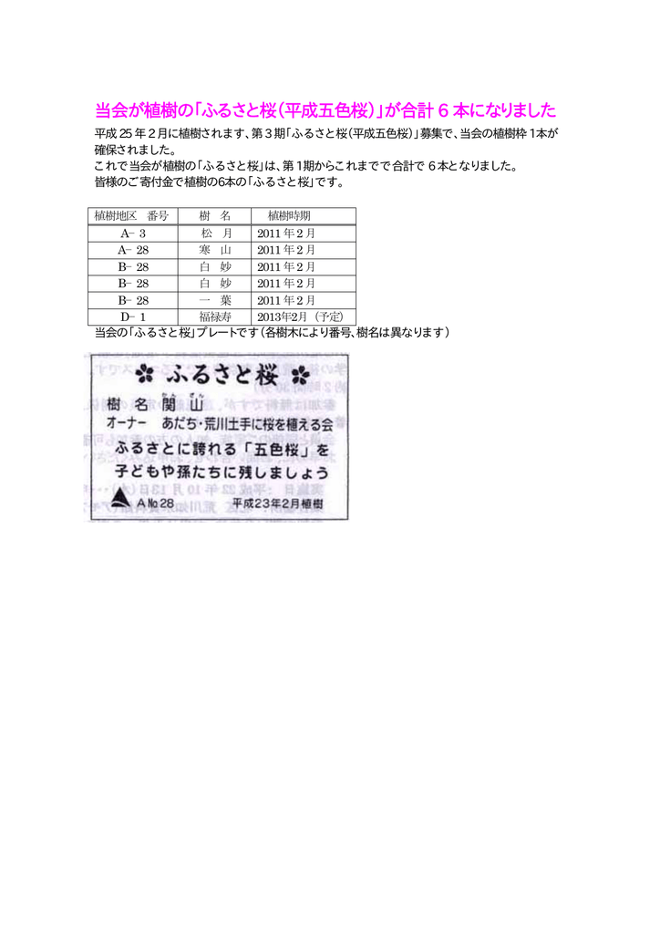 当会が植樹の ふるさと桜 平成五色桜 が合計6 本になりました