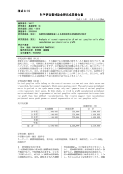 血管付き神経移植による視神経再生促進作用の解析