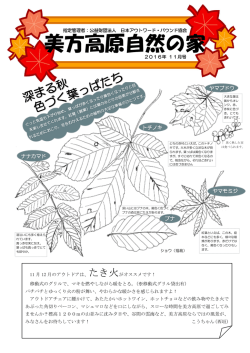 11 月 - 美方高原自然の家