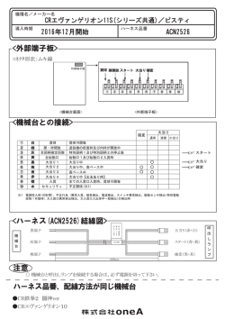 CRエヴァンゲリオン11S