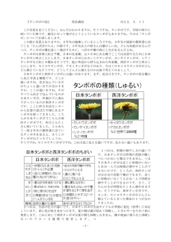 -1- 『タンポポの話』 校長講話 H22．5．11 この写真を見てください