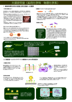 研究室概要