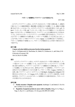 アポトーシス誘導時にプロテアソームは不活性化する