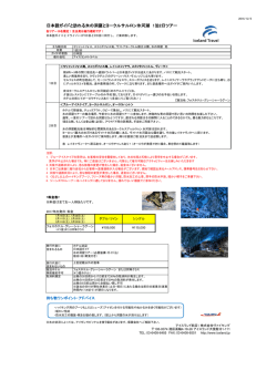 日本語ガイドと訪れる氷の洞窟とヨークルサルロン氷河湖 1泊2日ツアー