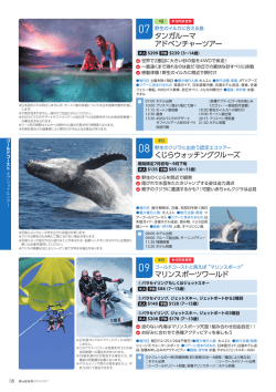 くじらウォッチングクルーズ タンガルーマ アドベンチャーツアー マリン