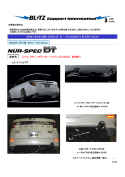 BLITZ 3月新発売総まとめ pdfファイル 19ページ