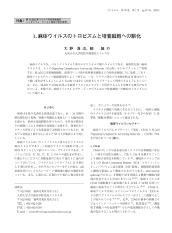 1. 麻疹ウイルスのトロピズムと培養細胞への馴化
