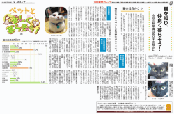 2016年2月20日 猫を知り仲良く暮らそう!
