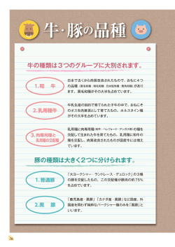 牛・豚の品種