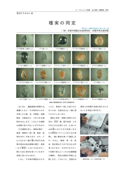 22 - 公益財団法人京都市埋蔵文化財研究所