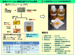 PP - 公益財団法人わかやま産業振興財団