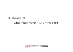 Adobe Flash Player インストール手順書