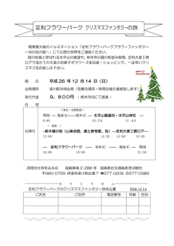 足利フラワーパーク クリスマスファンタジーの旅