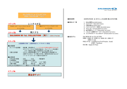 SALOMON Station `06 NEW MODEL 販売促進キャンペーン・フロー