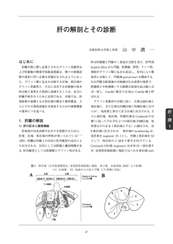 肝の解剖とその診断 - 日本消化器外科学会