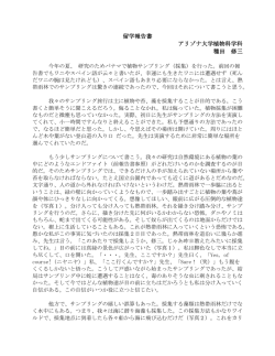 留学報告書(PDF：325KB