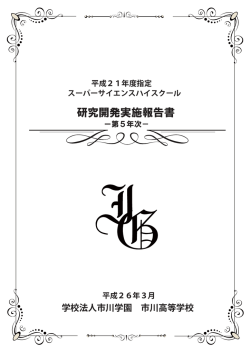 研究開発実施報告書