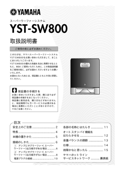 YST-SW800