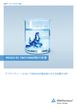 REACH EC 1907/2006規制の影響